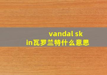 vandal skin瓦罗兰特什么意思